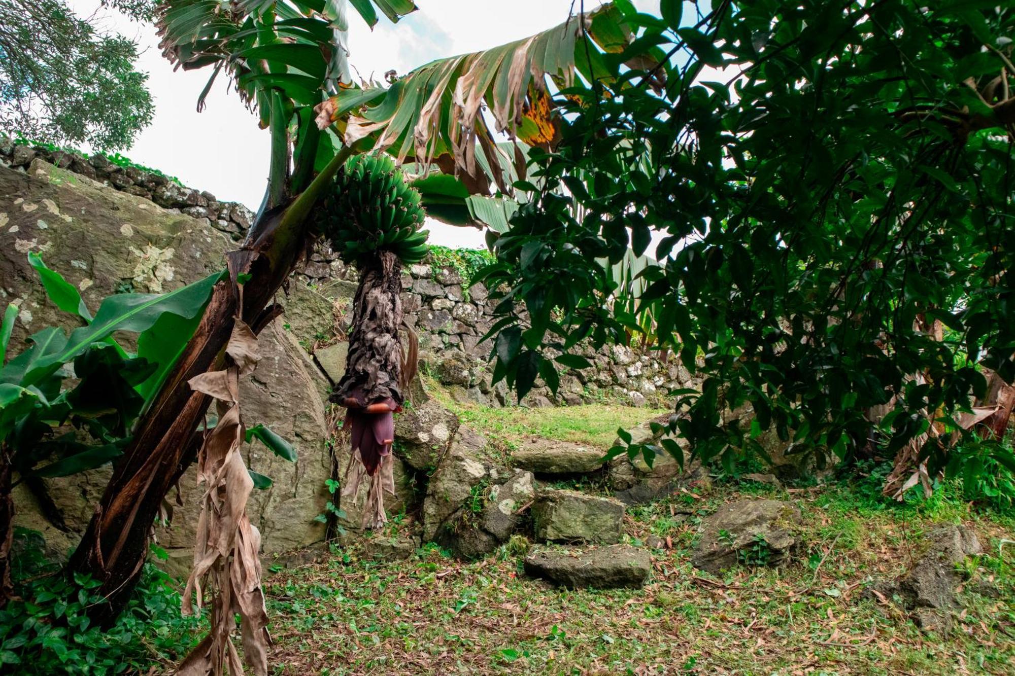 Casa De Campo Franco Da Serra Angra do Heroísmo Exterior foto
