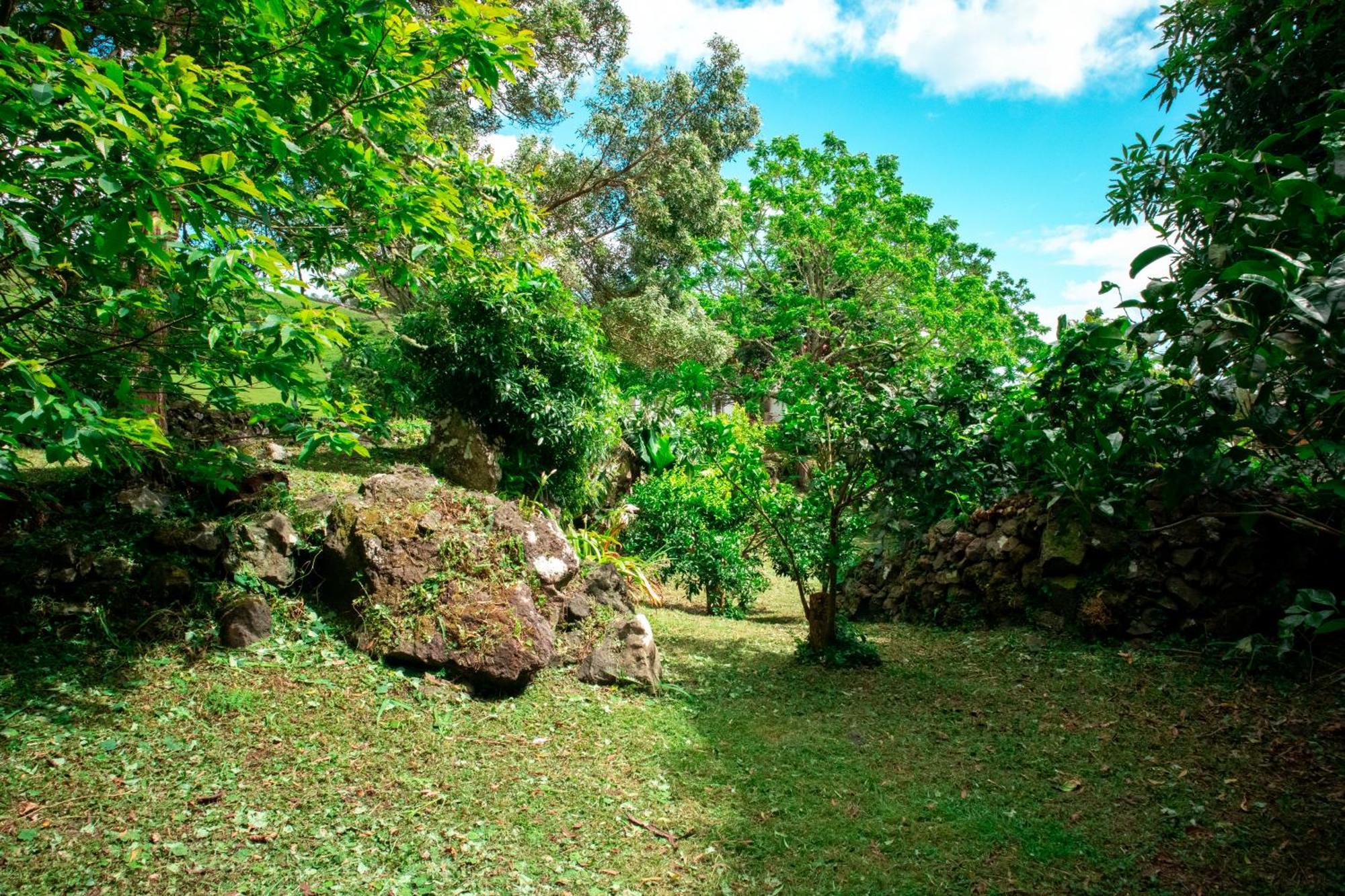 Casa De Campo Franco Da Serra Angra do Heroísmo Exterior foto