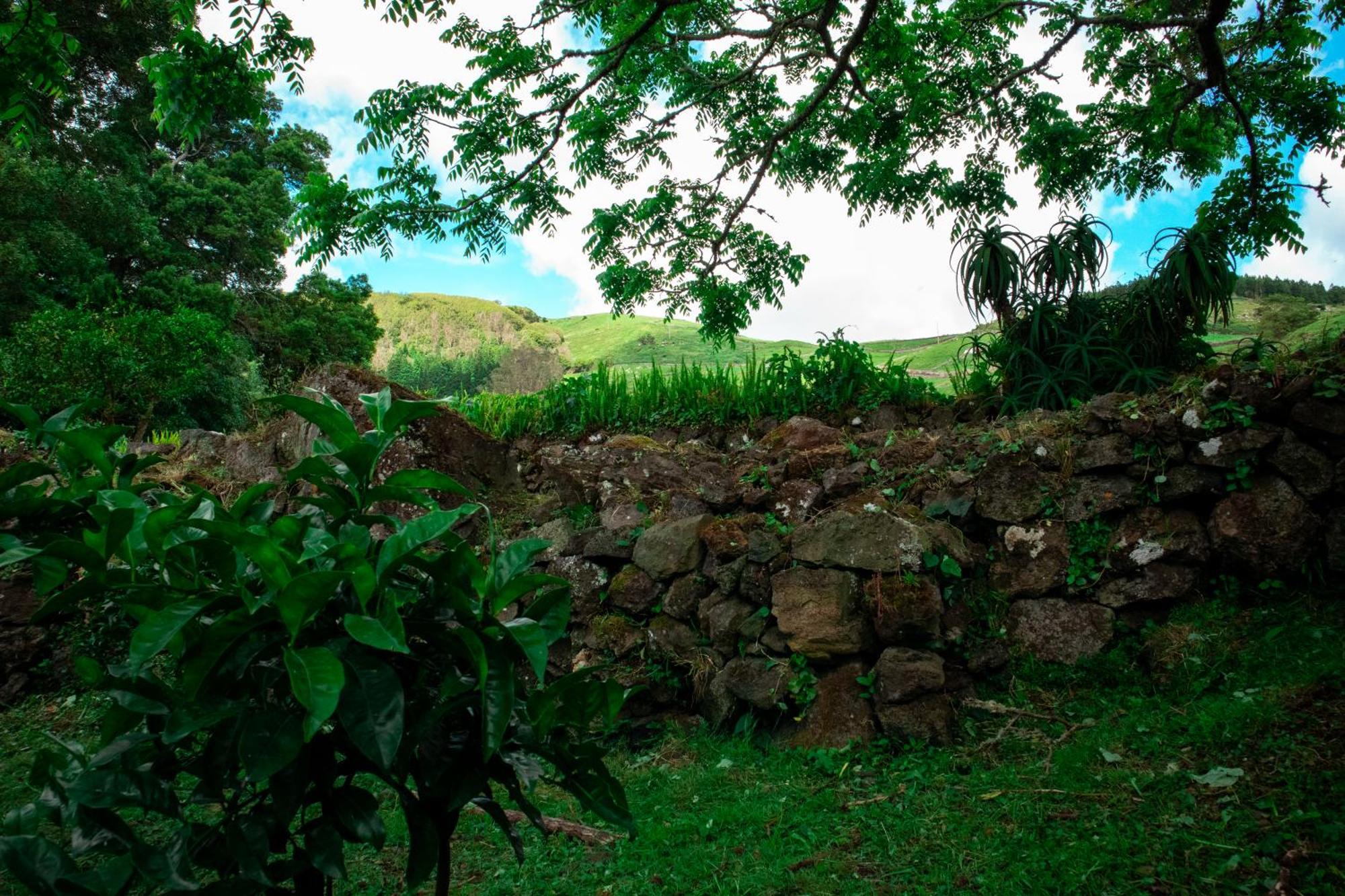 Casa De Campo Franco Da Serra Angra do Heroísmo Exterior foto